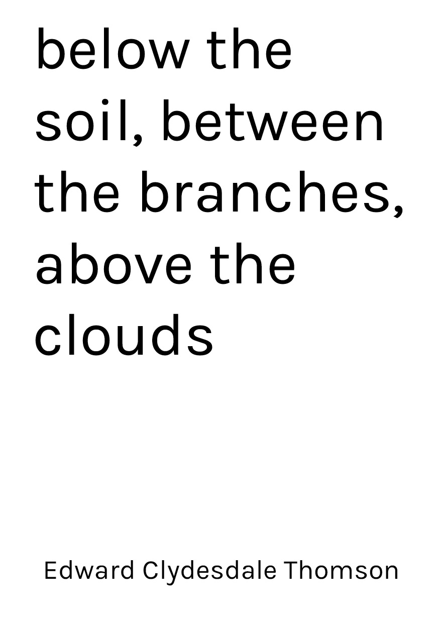 below the soil, between the branches, above the clouds